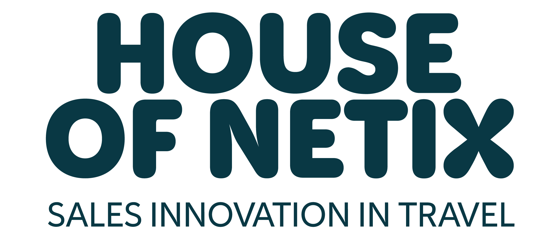 Netix Navigator